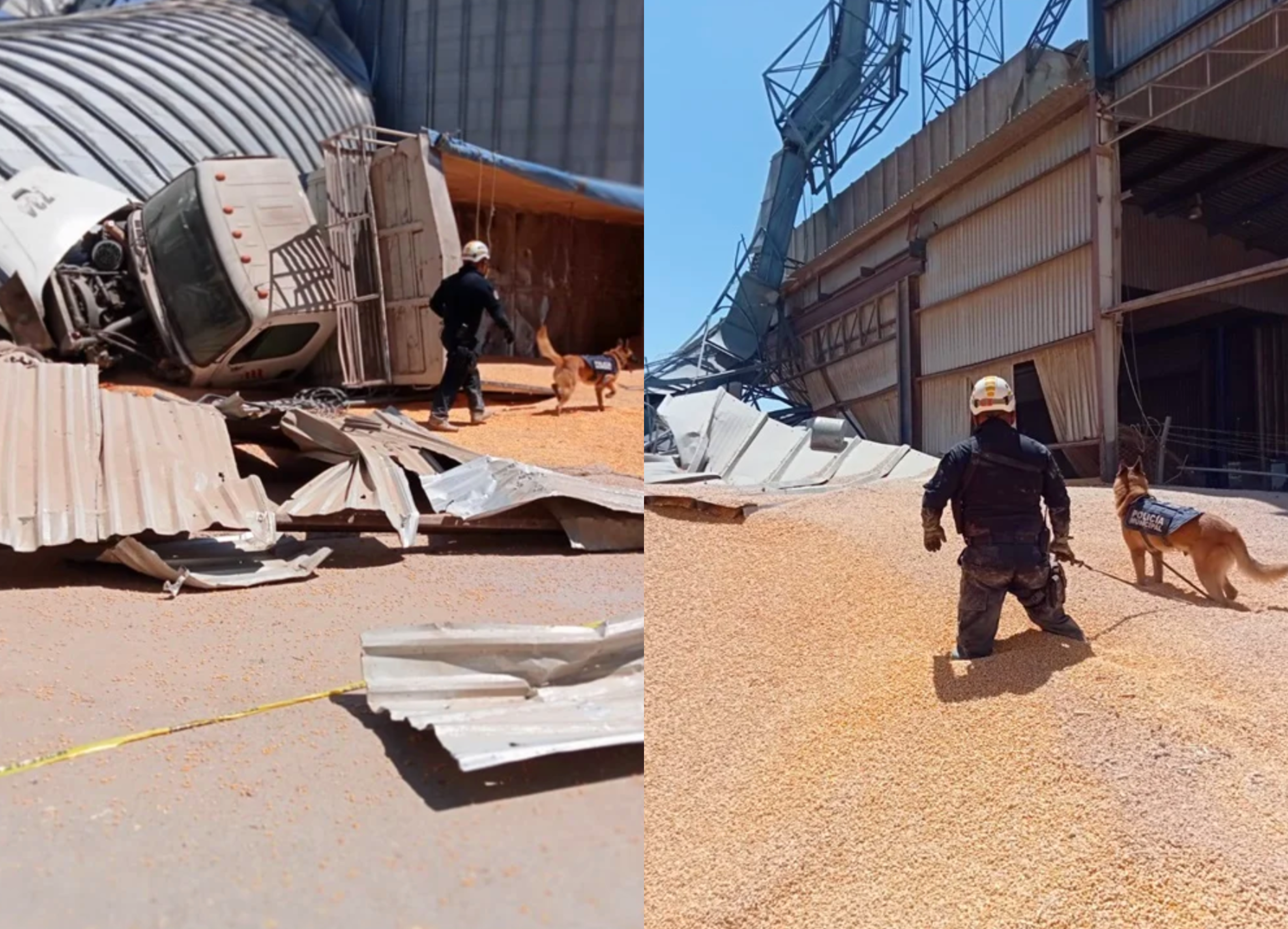 Colapsa granero de 6.5 toneladas en Torreón; trabajadores quedan atrapados
