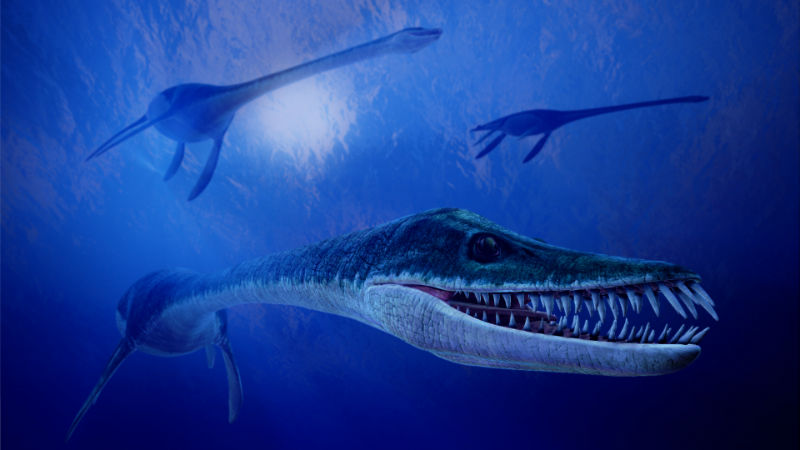 Científicos descubren el fósil del que podría ser el dinosaurio acuático más antiguo