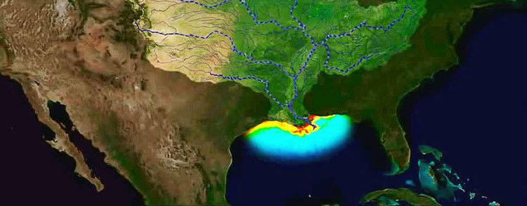 ¿Qué es la zona muerta del Golfo de México y por qué podría empeorar?