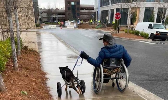 Hombre en silla de ruedas adopta a un perrito paralítico