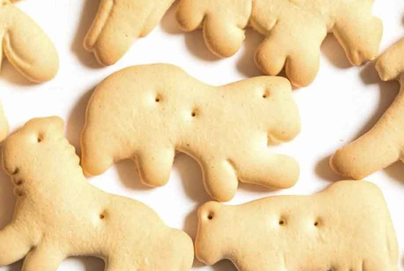 ¿Es cierto que veganos exigen prohibir las galletas de animalitos por ‘incitar al maltrato animal’?