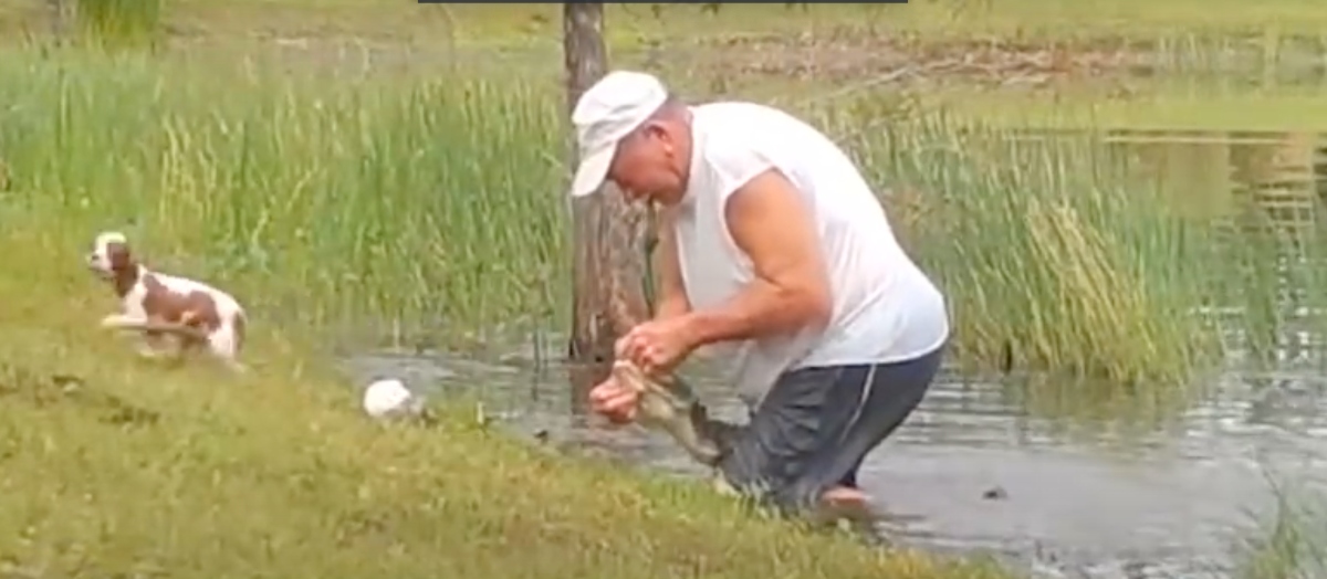 VIDEO. Hombre lucha con cocodrilo para salvar la vida de su perrito