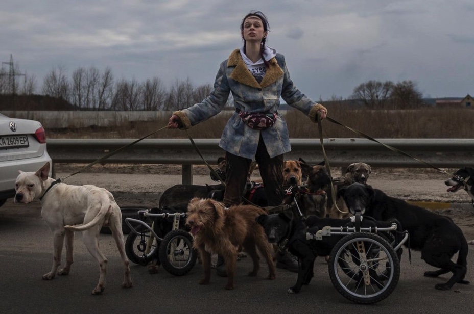 Mujer rescata a perritos discapacitados durante la guerra en Ucrania