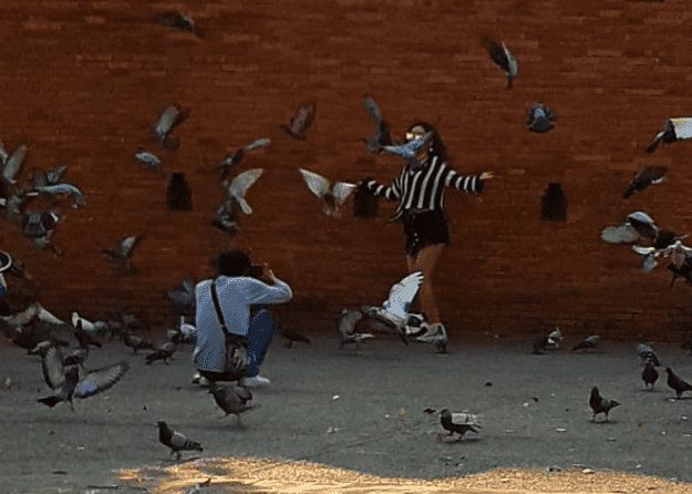 ¡Negociazo! Turistas pagan por espantar palomas para una foto perfecta