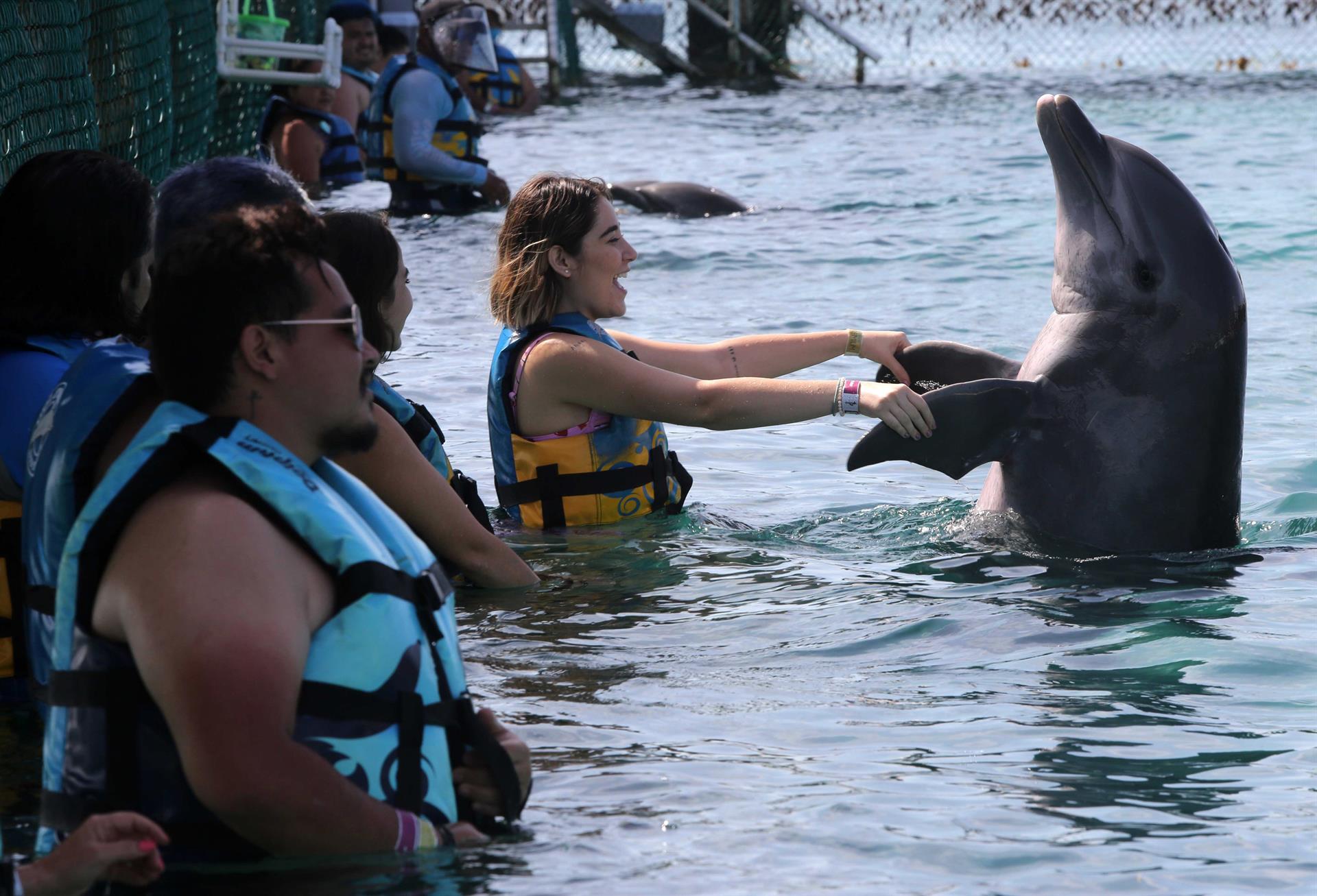 Enhorabuena: Avalan en México prohibir uso de mamíferos marinos en espectáculos